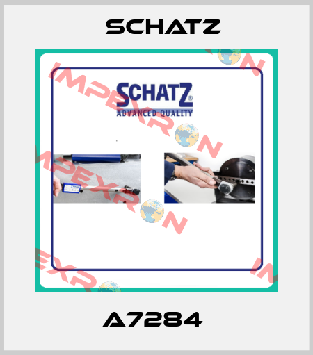 A7284  Schatz