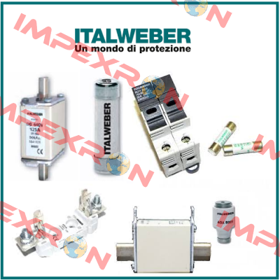 0307192  Italweber