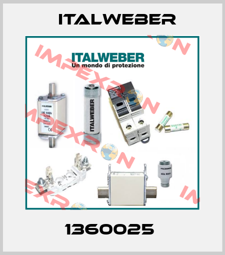 1360025  Italweber