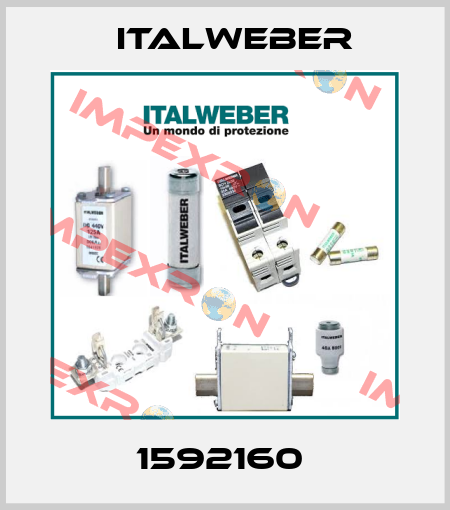 1592160  Italweber