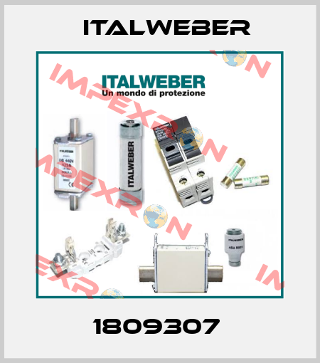 1809307  Italweber