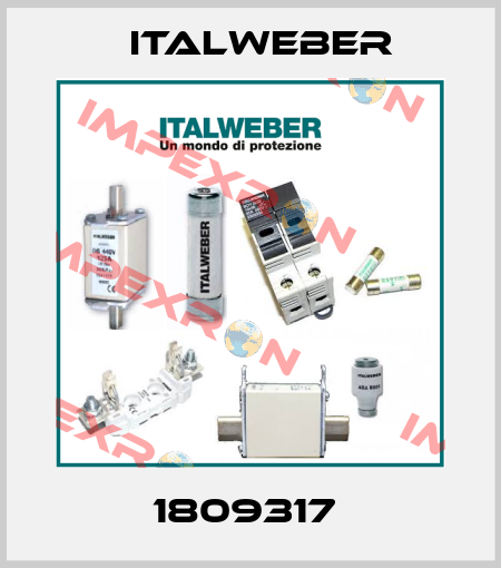 1809317  Italweber