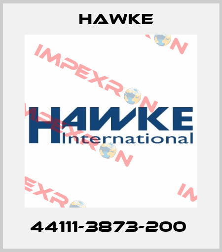 44111-3873-200  Hawke