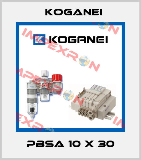 PBSA 10 x 30 Koganei