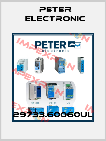 29733.60060UL Peter Electronic