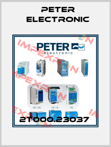 2T000.23037  Peter Electronic