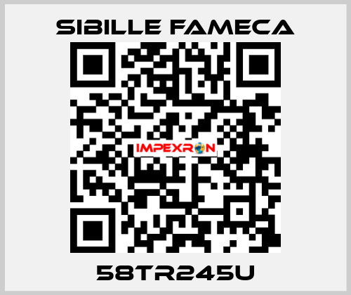 58TR245U Sibille Fameca