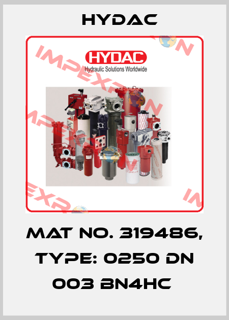 Mat No. 319486, Type: 0250 DN 003 BN4HC  Hydac