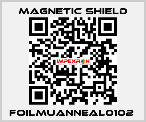 FOILMUANNEAL0102  Magnetic Shield