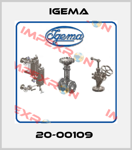 20-00109  Igema