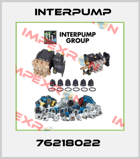 76218022  Interpump