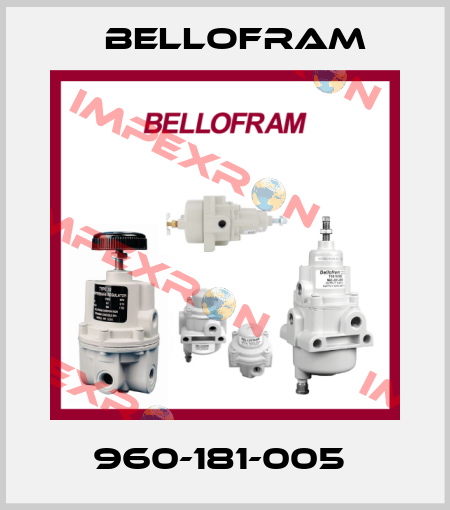 960-181-005  Bellofram