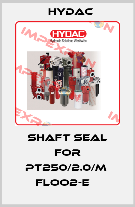 Shaft Seal for PT250/2.0/M  FLOO2-E    Hydac