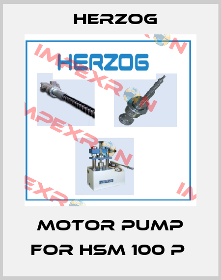 Motor Pump For HSM 100 P  Herzog