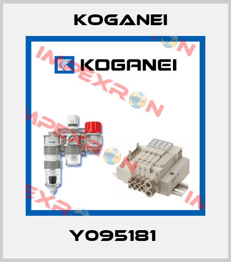 Y095181  Koganei