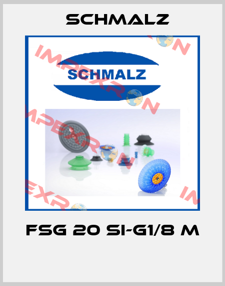 FSG 20 SI-G1/8 M  Schmalz