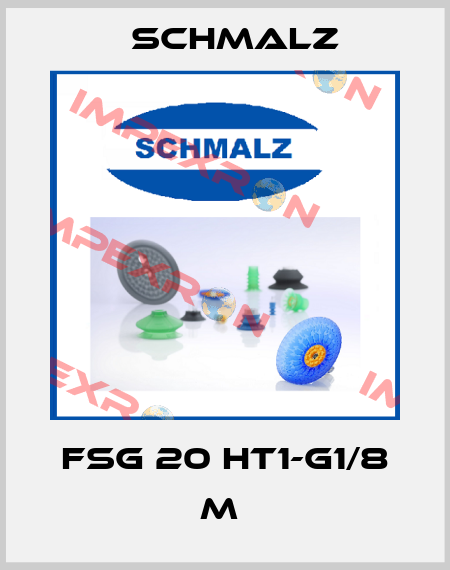 FSG 20 HT1-G1/8 M  Schmalz