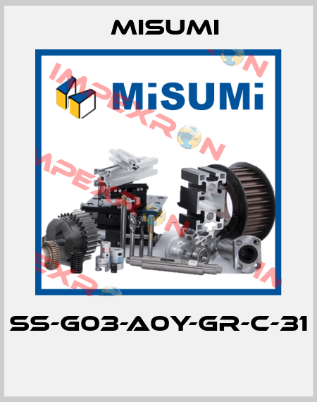 SS-G03-A0Y-GR-C-31  Misumi