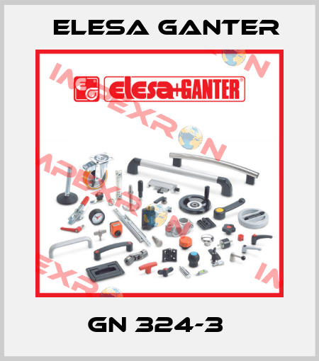GN 324-3  Elesa Ganter
