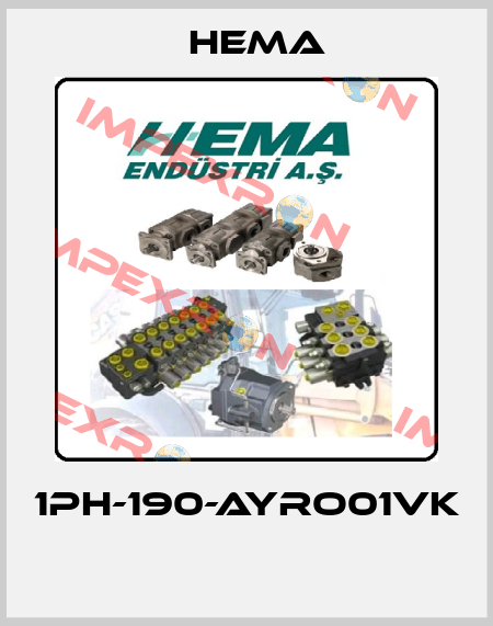 1PH-190-AYRO01VK  Hema