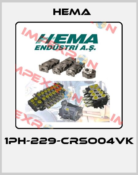 1PH-229-CRSO04VK  Hema