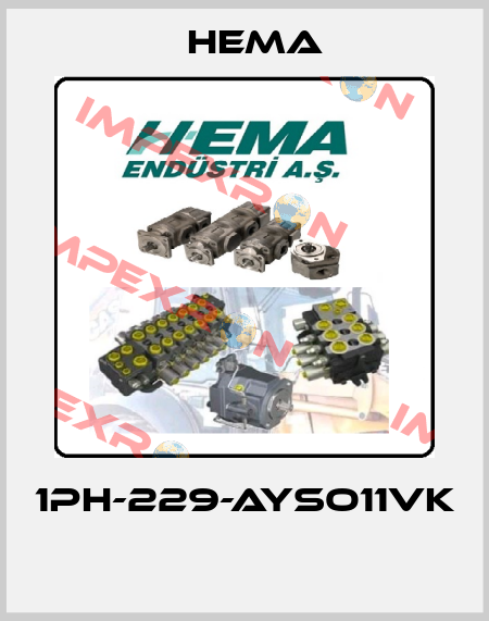 1PH-229-AYSO11VK  Hema