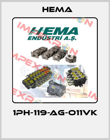 1PH-119-AG-O11VK  Hema