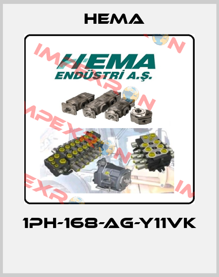 1PH-168-AG-Y11VK  Hema