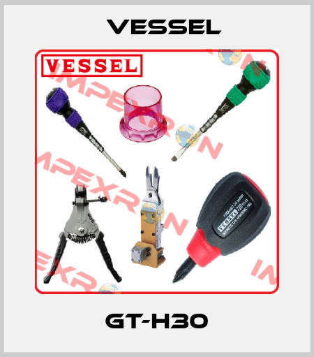 GT-H30 VESSEL