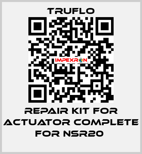 Repair Kit For Actuator Complete For NSR20  TRUFLO