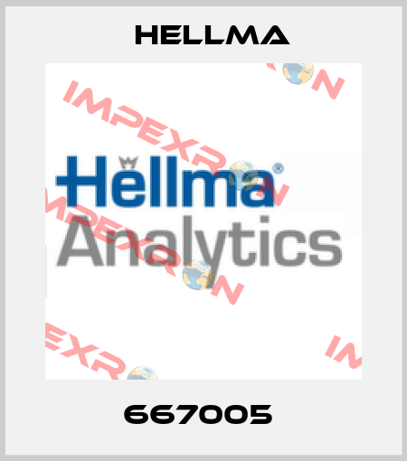 667005  Hellma