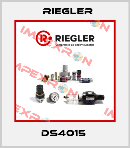DS4015  Riegler