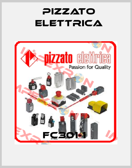 FC301-1  Pizzato Elettrica