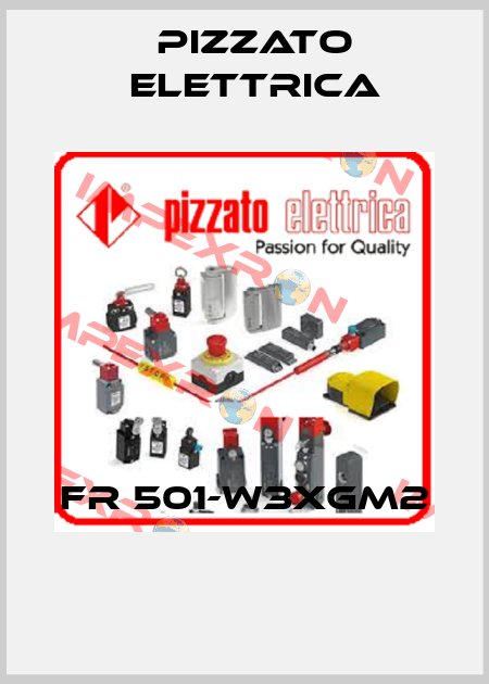 FR 501-W3XGM2  Pizzato Elettrica