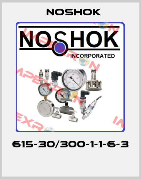 615-30/300-1-1-6-3  Noshok