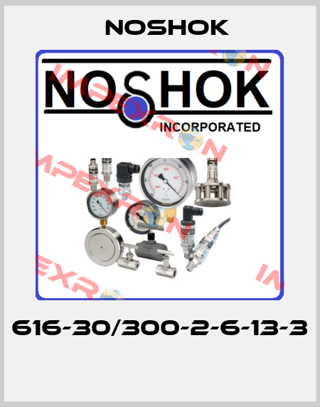 616-30/300-2-6-13-3  Noshok