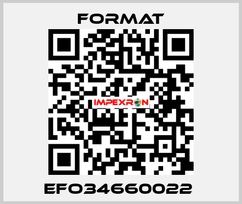 EFO34660022  Format