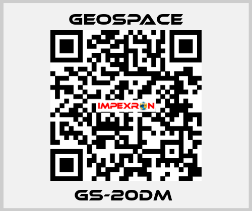 GS-20DM  GeoSpace