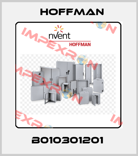 B010301201  Hoffman