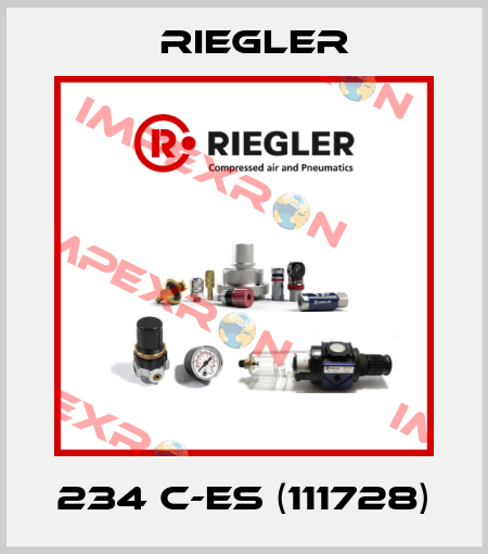 234 C-ES (111728) Riegler