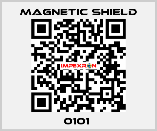 0101  Magnetic Shield