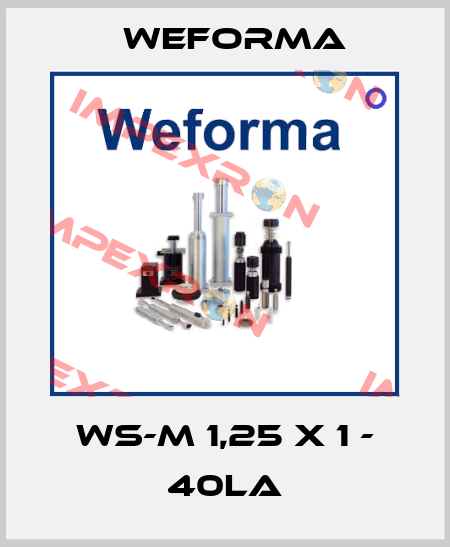 WS-M 1,25 x 1 - 40LA Weforma