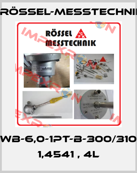 WB-6,0-1pt-B-300/310 1,4541 , 4L Rössel-Messtechnik