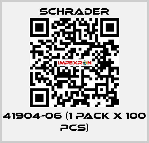 41904-06 (1 pack x 100 pcs) Schrader