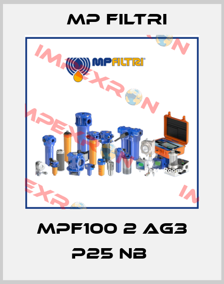 MPF100 2 AG3 P25 NB  MP Filtri
