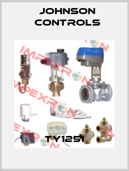 TY1251 Johnson Controls