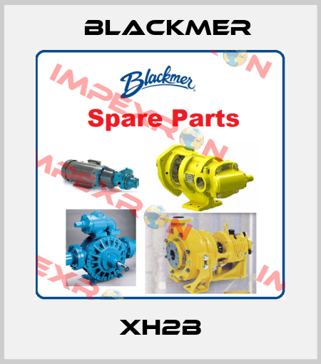 XH2B Blackmer
