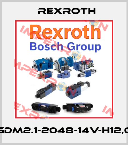 GDM2.1-2048-14V-H12,0 Rexroth