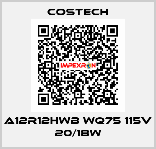 A12R12HWB WQ75 115V 20/18W Costech