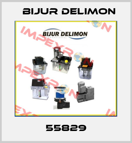 55829 Bijur Delimon